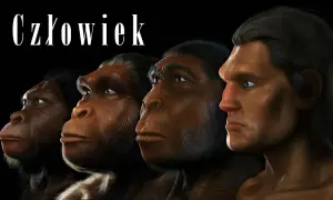 Jak powstał pierwszy człowiek? Od hominidów do Homo sapiens