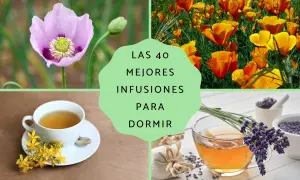 Adormidera, amapola de California, hipérico y lavanda, ingredientes para **tes relajantes** que ayudan a dormir.