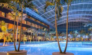Tropikalny raj w Termach Erding: basen pod szklanym dachem, palmy i hotel.