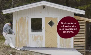 Kvinna skyddar växter med plast innan hon grundmålar utomhus.