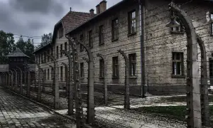 Jakie narodowości zginęły w Auschwitz? Prawda o ofiarach Holokaustu