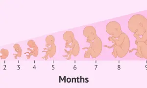 Ilustracja pokazuje etapy rozwoju płodu od 1 do 9 miesiąca, ukazując jego stopniowy wzrost i zmiany.