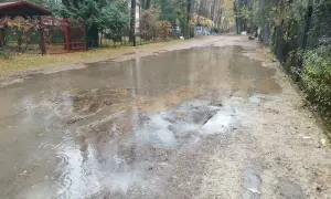Po ulewnym deszczu powstał duży staw na drodze w Sokolnikach w lesie. Woda odbija drzewa i niebo.