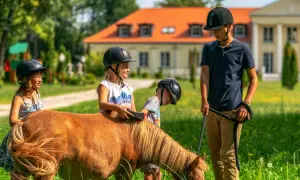 Hotel ze stadniną koni: Jak wybrać idealne wakacje w siodle?