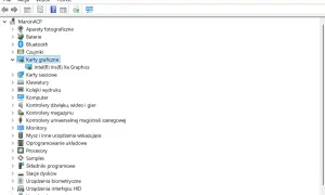 Menedżer urządzeń pokazuje listę sprzętu, w tym karty graficzne. Widoczna jest karta Intel(R) Iris(R) Xe Graphics, co jest częścią testu karty graficznej.