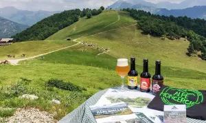 Birrificio piemontese con vista su pascoli verdi e montagne. Tre birre artigianali e un bicchiere di birra su un tavolo con materiale promozionale.