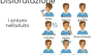 I sintomi della disidratazione nell'adulto: sete, bocca secca, lingua gonfia, minzione ridotta, mal di testa, stanchezza, alito cattivo, capogiri, palpitazioni.