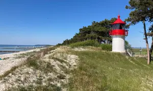 Leuchtturm auf Hiddensee, autofrei und idyllisch. Strand, Meer und Kiefernwald bilden die Kulisse für diesen friedlichen Ort.