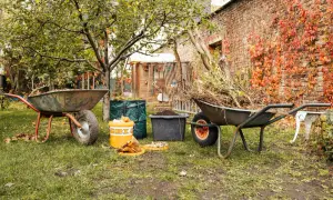 Gartenarbeit im Herbst: Schubkarren voller Laub und Äste warten darauf, kompost umsetzen zu helfen. Ein Eimer mit Küchenabfällen steht bereit.