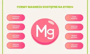 Grafika przedstawia różne formy magnezu: cytrynian, taurynian, glicynian, mleczan, tlenek, siarczan, węglan i jabłczan.
