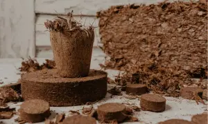 Donica z włókien kokosowych na podłożu kokosowym, otoczona krążkami i luźnym materiałem.