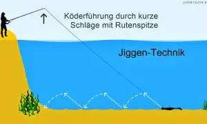 Angler demonstriert die Zander Jiggen-Technik: Köderführung durch kurze Schläge mit der Rutenspitze am Gewässergrund.