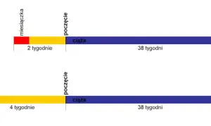 Termin porodu: USG czy miesiączka? Która data jest pewniejsza?