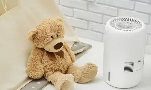 Suchy kaszel, alergia? Wybierz idealny nawilżacz powietrza!