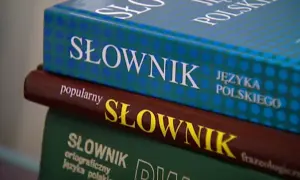 Słownik ortograficzny: Zmiany 2026, wybór i skuteczne użycie