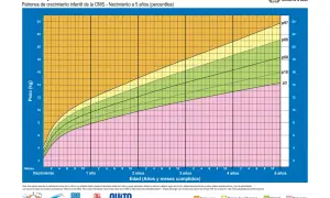 Gráfico OMS de peso para la edad de niños. Muestra percentiles de peso para un peso niño 2 años y hasta 5 años.