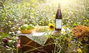 Piknik z winem domowym, jabłkami i słonecznikiem. Z jabłek można zrobić pyszne wino.