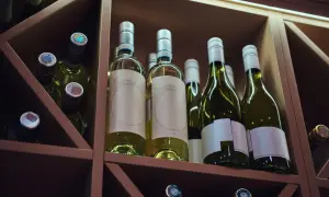 Butelki białego wina w drewnianym regale. Zastanawiasz się, czy szampan ma datę ważności? Te butelki czekają na degustację.