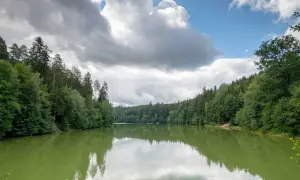 Idyllischer Herrenbachstausee, perfekt zum Angeln. Grüne Wälder spiegeln sich im ruhigen Wasser unter dramatischen Wolken.