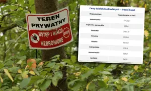 Ile kosztuje 1m2 działki budowlanej? Sprawdź aktualne ceny w Polsce