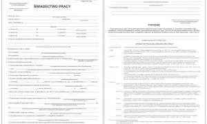 Świadectwo pracy: koniec umowy na okres próbny i co dalej. Dokument zawiera dane pracownika, okres zatrudnienia, powód ustania stosunku pracy i informacje o urlopach.