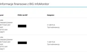 Chcesz kredyt? Sprawdź BIK: Poradnik, koszt i co z negatywnym wpisem