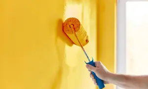 Mano che imbianca un muro giallo con un rullo. La temperatura ideale per imbiancare è tra i 10°C e i 25°C per una buona asciugatura.