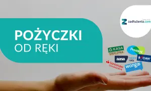 Gdzie dostanę pożyczkę z KRD? Sprawdzone opcje dla zadłużonych