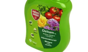 Preparat Deltam AL do roślin ozdobnych i warzyw. Zwalcza mszyce i inne szkodniki. Dawkowanie: 10 ml na litr wody.