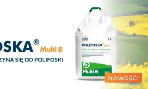 Worek nawozu Polifoska Multi B na tle kwitnącego pola rzepaku. Wysoki plon zaczyna się od Polifoski.