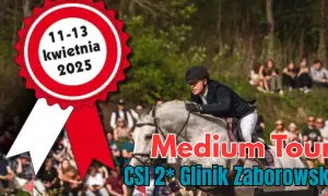 Glinik Zaborowski stadnina - najlepsze stajnie i treningi jeździeckie