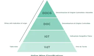 Piramide klasyfikacji win włoskich: od stołowych (VdT) po gwarantowane (DOCG), ukazująca hierarchię najpopularniejszych win włoskich.