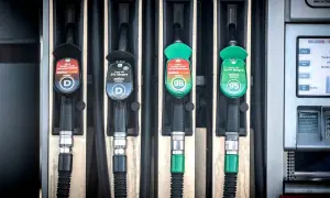 Fyra pumpar vid en bensinstation, två för diesel och två för bensin. En av dieselslangarna har en etikett som varnar för alger i dieseltank.