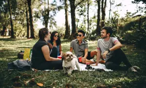 Un grupo de amigos disfruta de un picnic bajo los árboles, compartiendo risas y un perro juguetón. Un ejemplo de relaciones de amistad sanas.