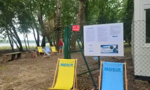 Park Linowy Tarnobrzeg: Twój przewodnik trasy, ceny, godziny