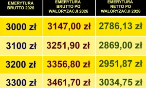 Weterynarz koni: Zarobki od 4666 do 10000 zł brutto?