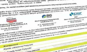 Jak usunąć się z BIK? Poradnik krok po kroku i mity "czyszczenia"