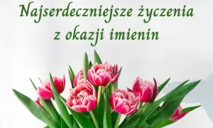 Najserdeczniejsze życzenia z okazji imienin Stanisława. Bukiet różowych tulipanów.