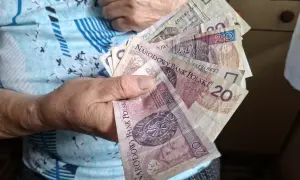 Dłoń trzyma polskie banknoty, symbolizujące środki na życie, być może jako zus renta rodzinna po mężu.