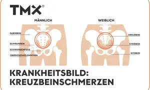 Vergleich männliches und weibliches Becken mit Hervorhebung des os sacrum. Illustration von Kreuzbeinschmerzen.