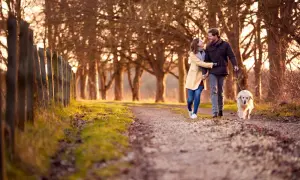 Coppia felice passeggia con cane al tramonto. Forse è così che si conquista un controdipendente: con amore e serenità.