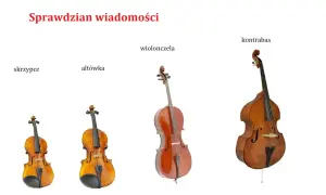 Skrzypce, altówka, wiolonczela i kontrabas ustawione obok siebie, pokazujące różnice w rozmiarze.
