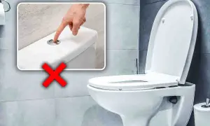 Un dito preme il pulsante di scarico di un water, ma una grande X rossa indica che questo bagno è senza scarico.