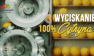 Wyciskanie 100% cytryny. Zobacz, ile cytryn na litr soku powstaje w naszej naturalnej tłoczni.