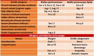 Alergia klasa 2: Co oznacza wynik? Interpretacja i dalsze kroki
