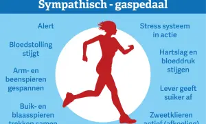 Rode silhouet van een rennende persoon, met tekst die de effecten van een **sympathisch zenuwstelsel overprikkeld** beschrijft, zoals verhoogde hartslag en alertheid.