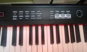 Klawiatura pianina cyfrowego z przyciskami sterującymi. Zastanawiasz się, ile klawiszy ma pianino? To pytanie, na które odpowiedź znajdziesz, licząc je!