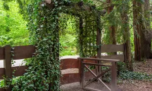 Drewniany łuk porośnięty bluszczem wita w **arboretum w Lipnie**. Ścieżka prowadzi przez otwartą bramę, otoczoną drzewami i zielenią.