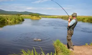 Zezwolenie na wędkowanie w jeziorze Dłużek – co musisz wiedzieć?
