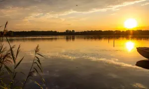 Zachód słońca nad rzeką Barycz. Woda odbija złote światło, trzciny na pierwszym planie, łódź przy brzegu.